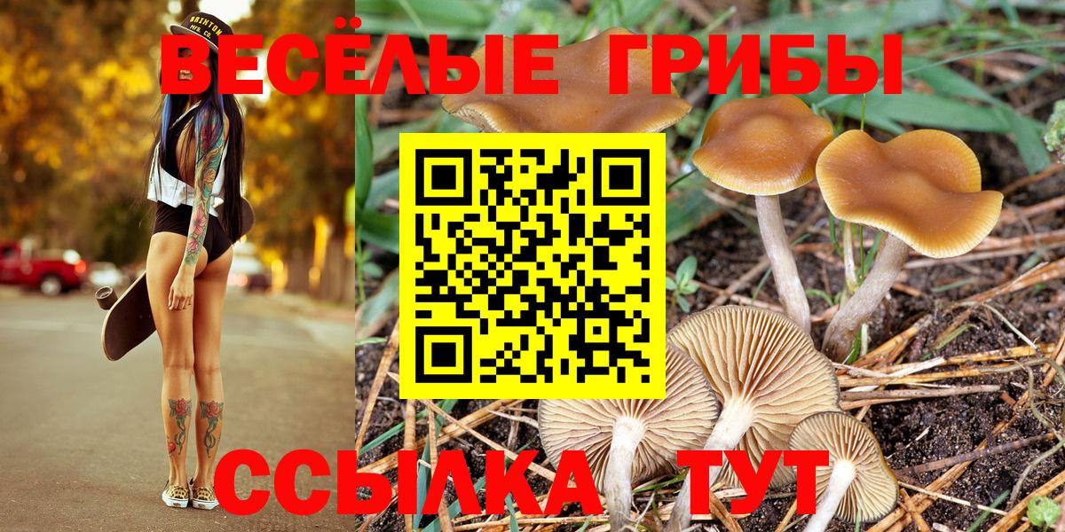 Галлюциногенные грибы Cubensis Ливны